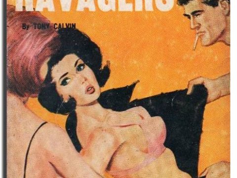 The Ravagers by Tony Calvin