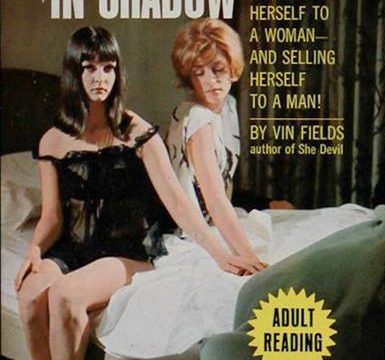 Who Seek in Shadow by Vin Fields