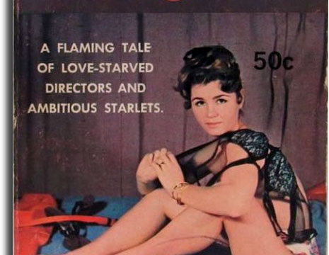 Hollywood Virgin by William B. Greene