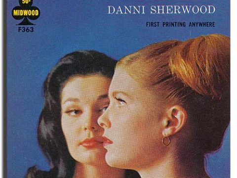 So Strange a Love by Danni Sherwood