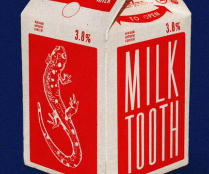 milktooth by Jaime Burnet