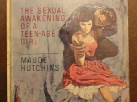 A Diary of Love by Maude Hutchins